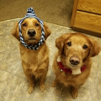 They do enjoy playing dress up.